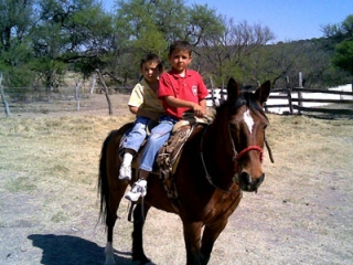 Actividades familiaternera